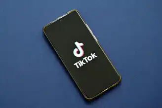TikTok'lu Telefonlar eBay'de Binlerce Dolara Satılıyor!