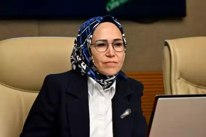 AK Partili Erdoğan: 